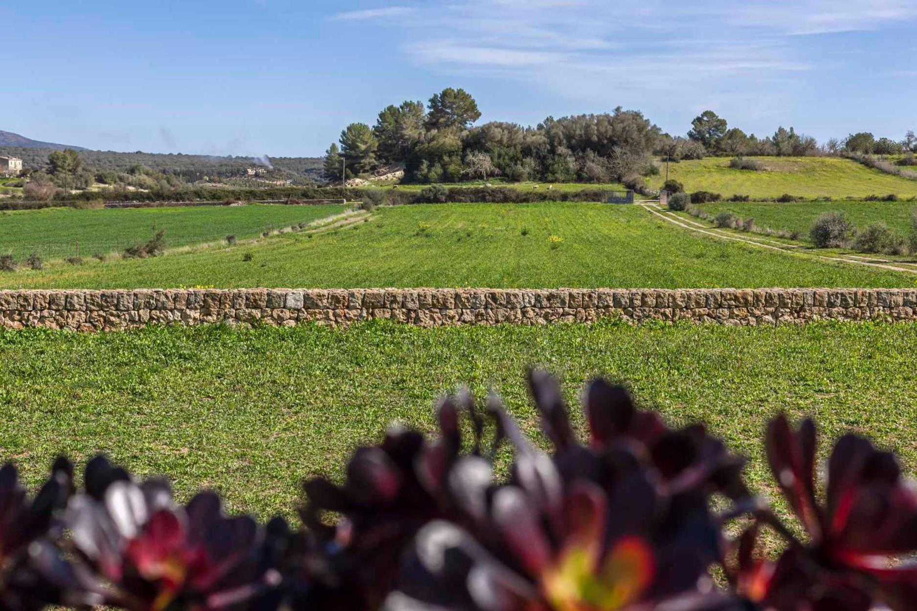 Yupihome Son Guillot De'n Pedro